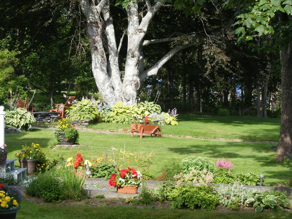 Rothesay House Heritage Inn B&B Harbour Grace エクステリア 写真